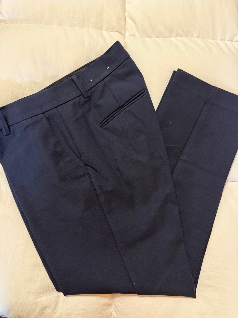 Women’s Ann Taylor Navy Dress Pants - Tailored Fit